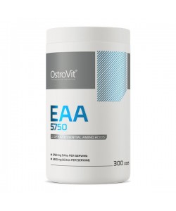 Аминокомплекс для спорта OstroVit EAA 300 Caps