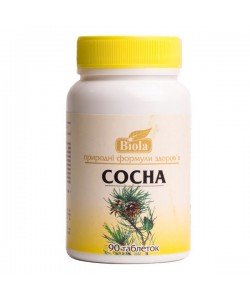 Комплекс для профилактики дыхательной системы Biola Сосна 90 таблеток