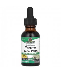 Комплекс при лактации Nature's Answer Yarrow Aerial Parts 2000 mg Alcohol-Free 30 ml /15 servings/