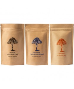 Грибной комплекс Дедушка Мухомор Набор “Здоровый ребенок” ( 3 вида грибов) 60 + 60 + 60 капсул