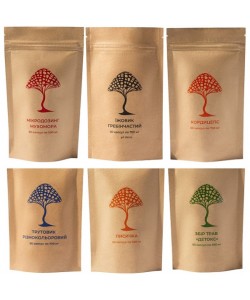 Грибной комплекс Дедушка Мухомор Набор “Супер человек” (5 видов грибов + Сбор трав "Детокс") 60 + 60 + 60 + 60 + 60 + 60 капс