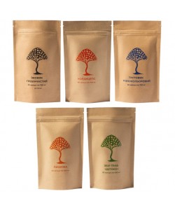 Грибной комплекс Дедушка Мухомор Набор “Активная жизнь” (4 вида грибов + Сбор трав "Детокс") 60 + 60 + 60 + 60 + 60 капсул