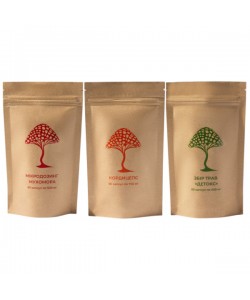 Грибной комплекс Дедушка Мухомор Набор “Фитнес” (2 вида грибов + Сбор трав "Детокс") 60 + 60 + 60 капсул