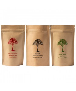 Грибной комплекс Дедушка Мухомор Набор “Новое сознание” (2 вида грибов + Сбор трав "Детокс") 60 + 60 + 60 капсул