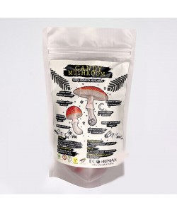 Заменитель питания Ecohuman Candy Mushroom With Amanita Muskaria 10 Bonbons