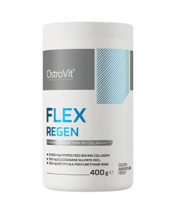 Хондропротектор (для спорта) OstroVit Flex-Regen 400 g /26 servings/ South American Fruit