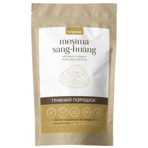 Грибной комплекс Fungipapa Санхван (Phellinus linteus) - грибной порошок 60 г /30 порций/