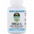 Омега 3 Source Naturals Vegan Omega-3S, EPA-DHA 300 mg 60 Veg Softgels SNS-02459