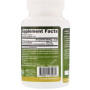 Зелений чай Jarrow Formulas Green Tea 500 mg 100 Veg Caps