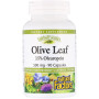 Екстракт оливи Natural Factors Olive Leaf 500 mg 90 Caps NFS04570