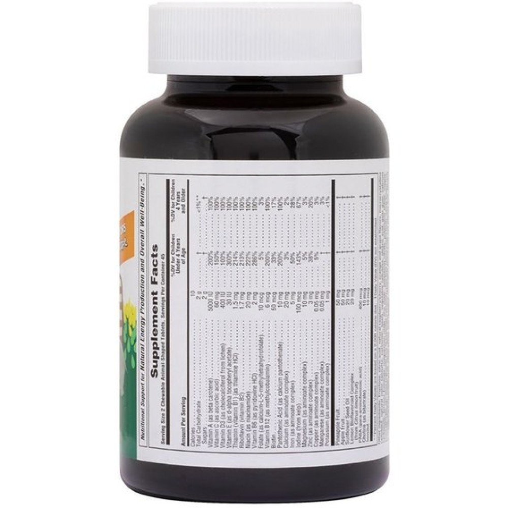 Вітамінно-мінеральний комплекс Nature's Plus Animal Parade 90 Animal Shaped Gummies Cherry, Orange, Grape flavors NTP29980