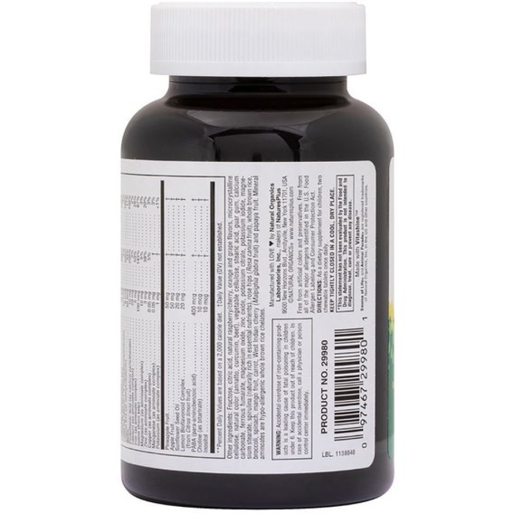 Вітамінно-мінеральний комплекс Nature's Plus Animal Parade 90 Animal Shaped Gummies Cherry, Orange, Grape flavors NTP29980
