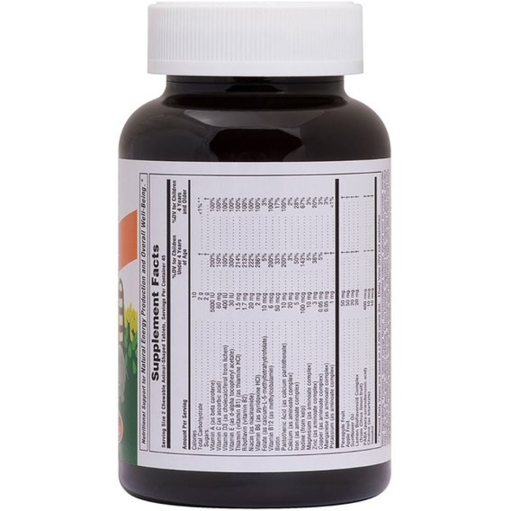 Вітамінно-мінеральний комплекс Nature's Plus Animal Parade 90 Animal Shaped Gummies Orange Flavor NTP29974