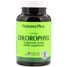 Комплекс для травлення Nature's Plus Natural Chlorophyll 90 Veg Caps NTP1080