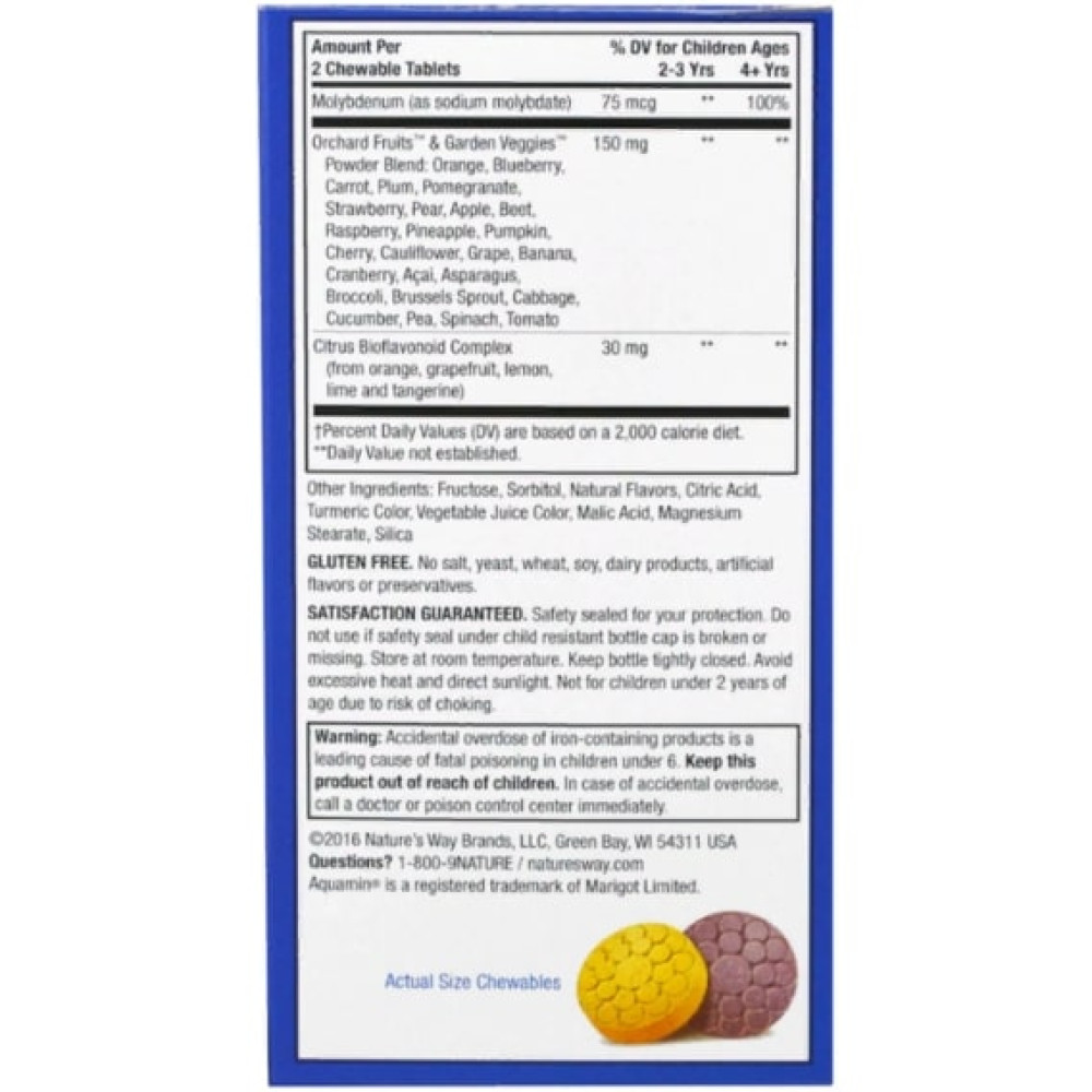 Вітамінно-мінеральний комплекс Nature's Way Alive! Multi-Vitamin Children's Chewable 120 Chewable Tabs Orange, Berry NWY-15786
