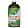Комплекс для травлення Nature's Way Chlorofresh, Liquid Chlorophyll, 16 fl oz 480 ml Mint Flavored NWY03501