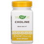 Комплекс для профілактики роботи головного мозку Nature's Way Choline 500 mg 100 Veg Tabs NWY-40460