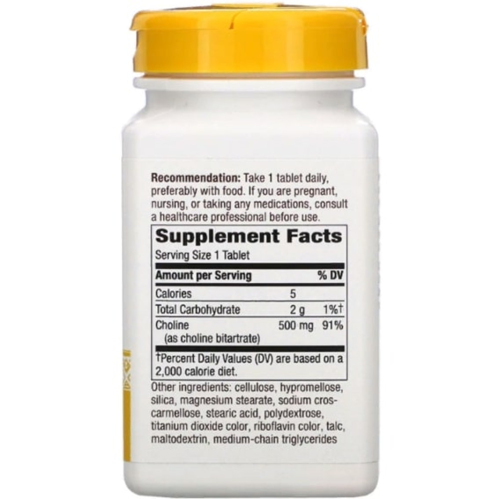 Комплекс для профілактики роботи головного мозку Nature's Way Choline 500 mg 100 Veg Tabs NWY-40460