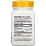 Комплекс для профілактики роботи головного мозку Nature's Way Choline 500 mg 100 Veg Tabs NWY-40460