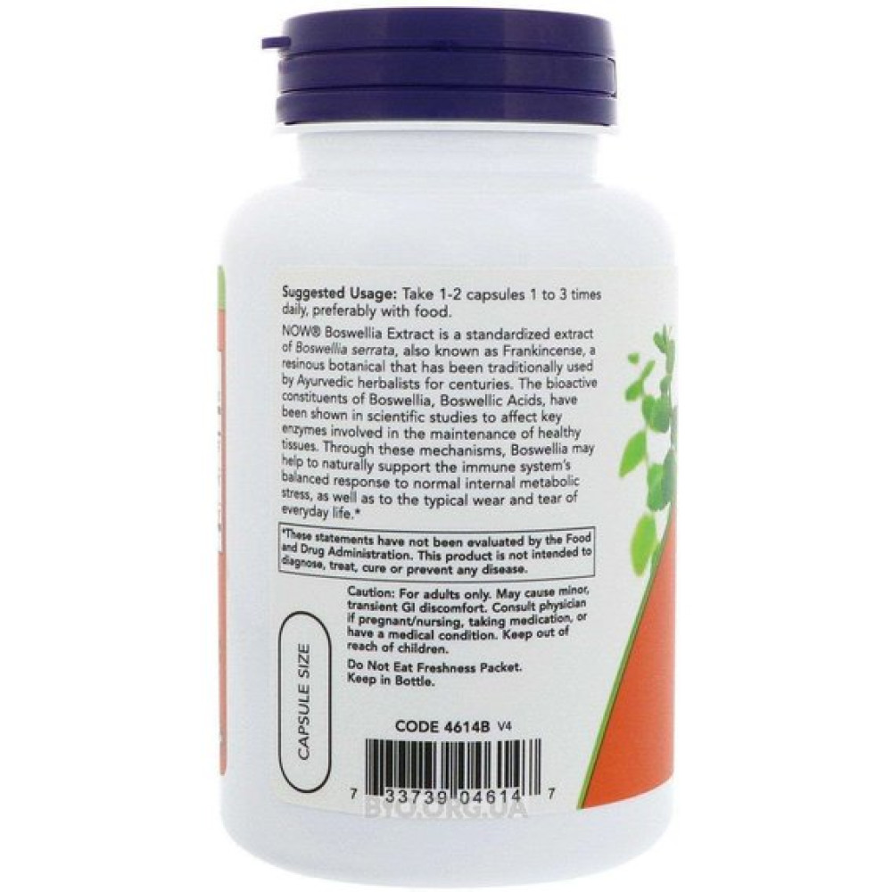 Екстракт босвеллії NOW Foods Boswellia Extract 250 mg 120 Veg Caps