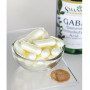 Амінокомплекс Swanson GABA 500 mg 100 Caps SWA-01872