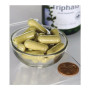 Суміш екстрактів Swanson Triphala 500 mg 100 Caps SWA-11039
