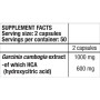 Комплексний жироспалювач BioTechUSA HCA 100 Caps