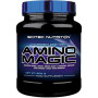 Амінокомплекс для спорту Scitec Nutrition Amino Magic 500 g /25 servings/ Orange