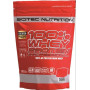 Протеїн Scitec Nutrition 100% Whey Protein Professional 500 g /16 servings/ Kiwi Banana