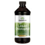 Комплекс для травлення Swanson Liquid Chlorophyll 100 mg 16 fl oz 473 ml /31 servings/