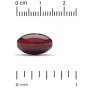 Олія криля California Gold Nutrition Antarctic Krill 500 mg 30 Fish Softgels