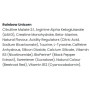 Комплекс до тренування Applied Nutrition Pump 3g 375 g /50 servings/ Unicorn
