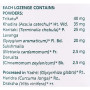 Протизастудний засіб Himalaya Koflet Lozenges For Dry Cough 200 Lozenges