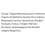 Екстракт для схуднення Thalgo Activ refining Blocker 45 Tabs
