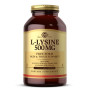 Амінокислота Лізін Solgar L-Lysine 500 mg 250 Veg Caps