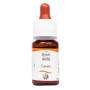 Комплекс для профілактики нервової системи Guna Fiori di Bach flowers Cerato 10 ml