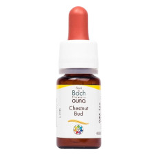 Комплекс для профілактики нервової системи Guna Fiori di Bach flowers Chestnut bud 10 ml