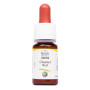Комплекс для профілактики нервової системи Guna Fiori di Bach flowers Chestnut bud 10 ml