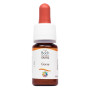 Комплекс для профілактики нервової системи Guna Fiori di Bach flowers Gorse 10 ml