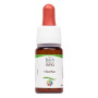 Комплекс для профілактики нервової системи Guna Fiori di Bach flowers Heather 10 ml