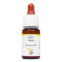 Комплекс для профілактики нервової системи Guna Fiori di Bach flowers Honeysuckle 10 ml