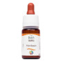 Комплекс для профілактики нервової системи Guna Fiori di Bach flowers Hornbeam 10 ml