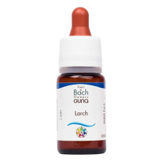 Комплекс для профілактики нервової системи Guna Fiori di Bach flowers Larch 10 ml