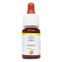 Комплекс для профілактики нервової системи Guna Fiori di Bach flowers Mustard 10 ml