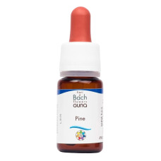 Комплекс для профілактики нервової системи Guna Fiori di Bach flowers Pine 10 ml