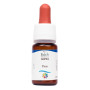 Комплекс для профілактики нервової системи Guna Fiori di Bach flowers Pine 10 ml