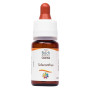 Комплекс для профілактики нервової системи Guna Fiori di Bach flowers Scleranthus 10 ml