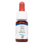 Комплекс для профілактики нервової системи Guna Fiori di Bach flowers Star of Bethlehem 10 ml