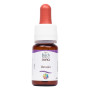 Комплекс для профілактики нервової системи Guna Fiori di Bach flowers Vervain 10 ml