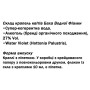 Комплекс для профілактики нервової системи Guna Fiori di Bach flowers Water violet 10 ml